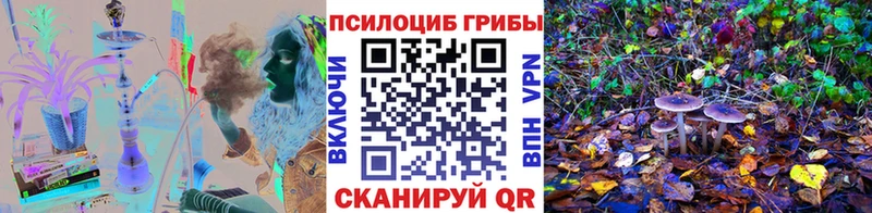 Псилоцибиновые грибы MAGIC MUSHROOMS  Поворино 